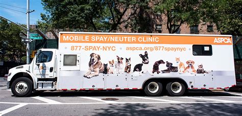 affordable cart spay in my area
